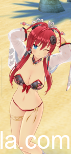 【シノマス画像】十兵衛　「十兵衛の真陰水着」