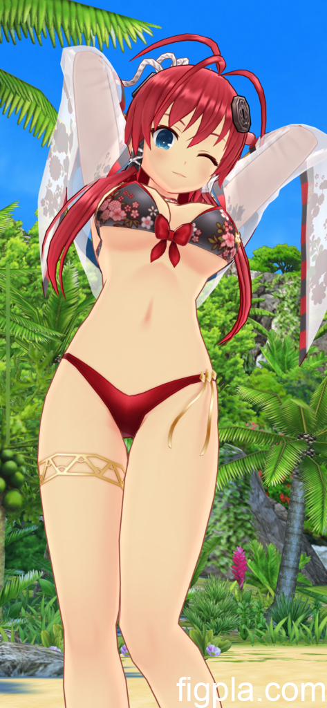 十兵衛真陰水着2