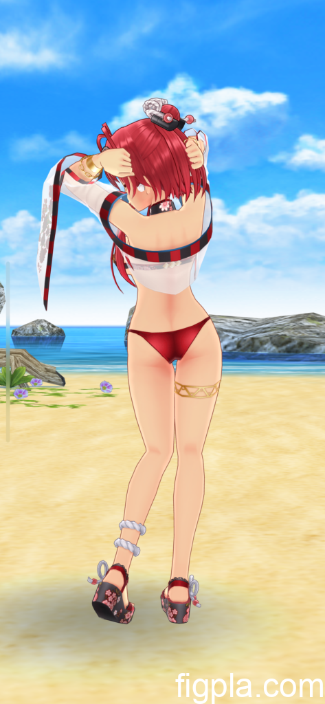 十兵衛真陰水着4