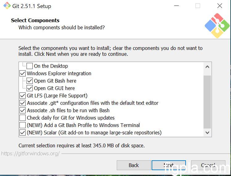 インストールオプションの選択